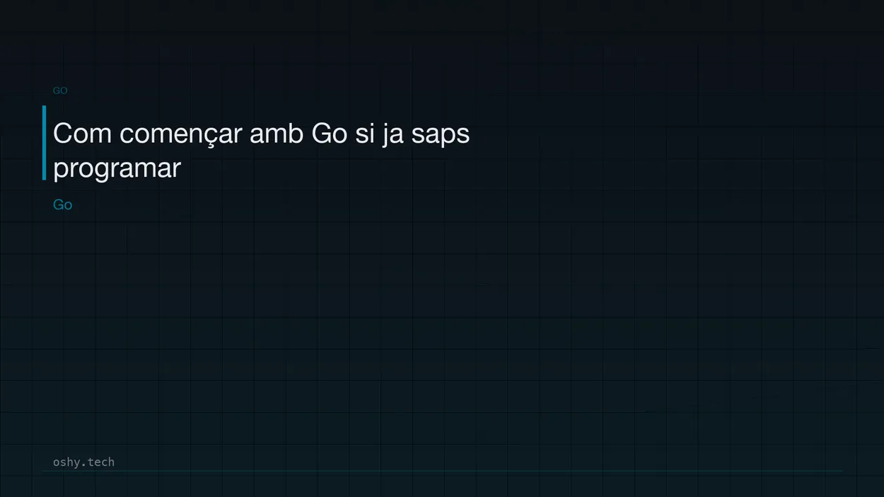 Cover for Com començar amb Go si ja saps programar