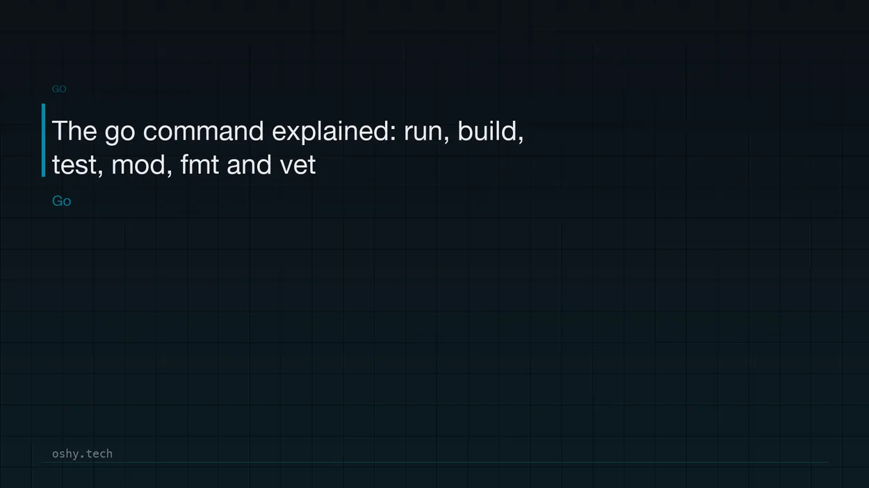 Cover for The go command explained: run, build, test, mod, fmt and vet